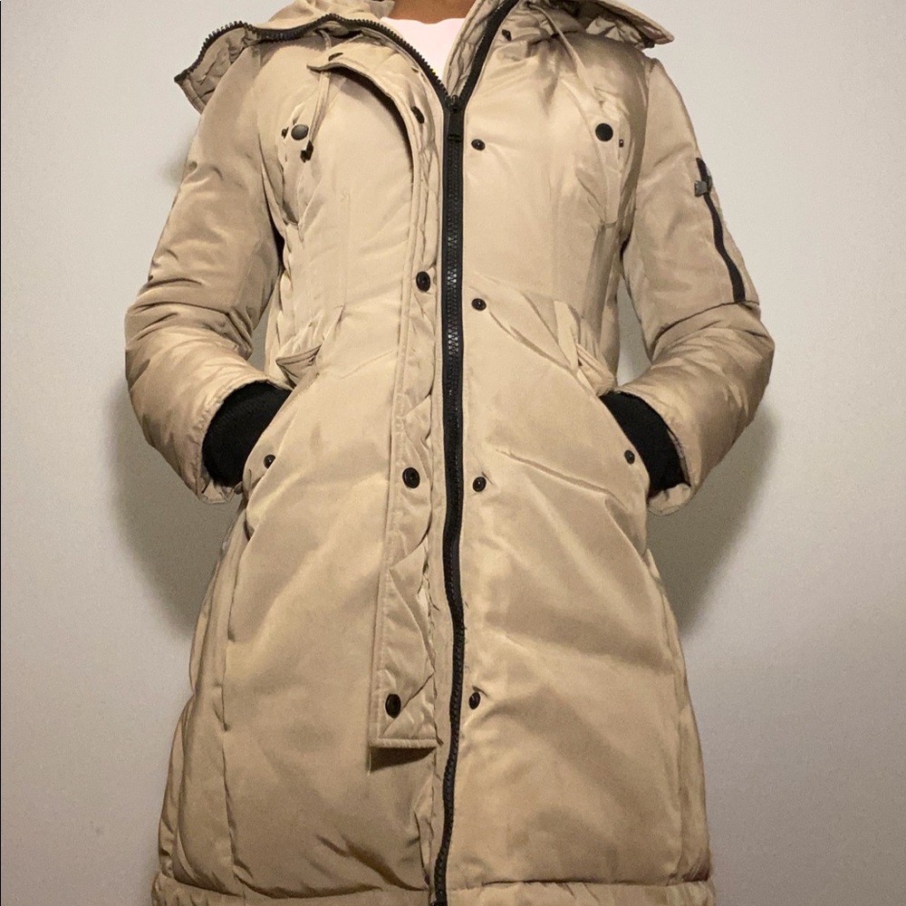 Winter Coat